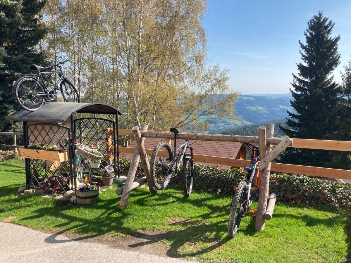 Weixl Schi&Bike Appartements-Bike In&Bike Out Neben Wexl Trails Bikepark Sankt Corona am Wechsel Eksteriør bilde